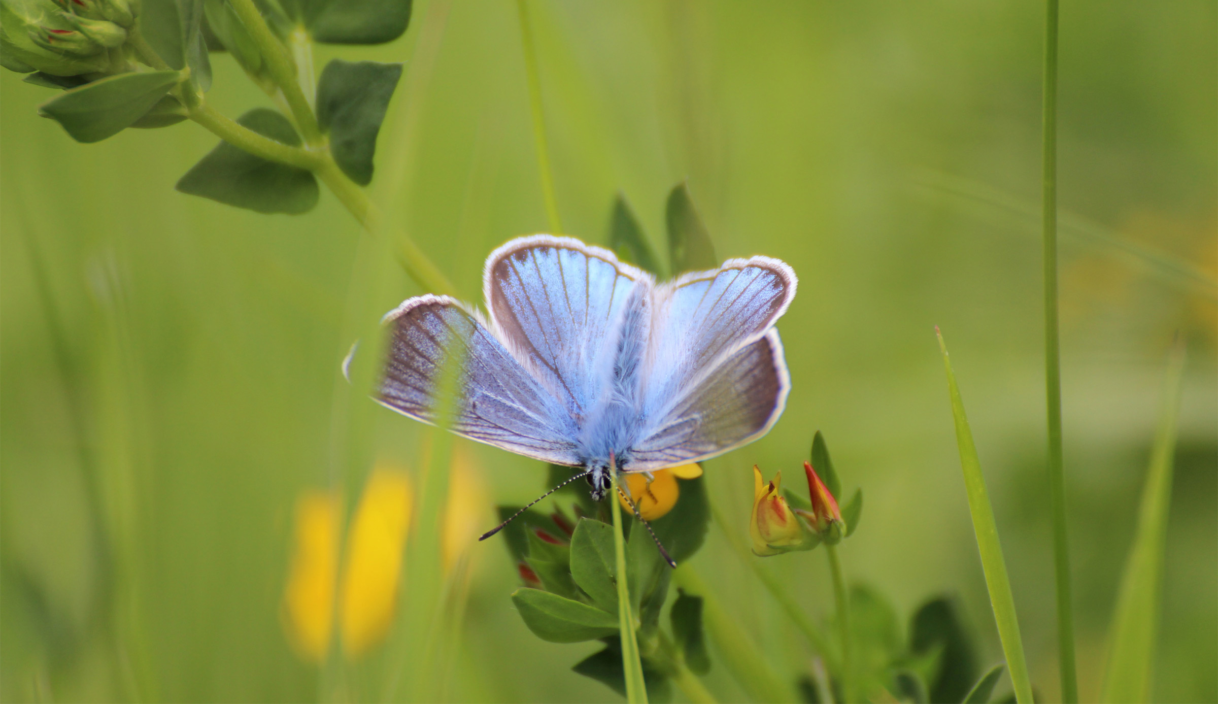 Immerse yourself in nature