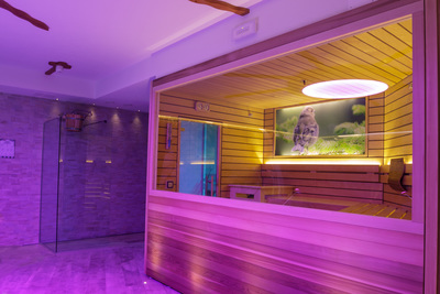 Finnish sauna Hotel Santa Maria